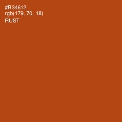 #B34612 - Rust Color Image