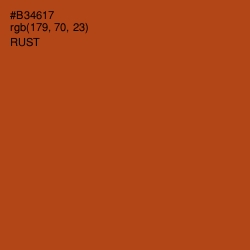 #B34617 - Rust Color Image