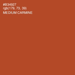 #B34927 - Medium Carmine Color Image