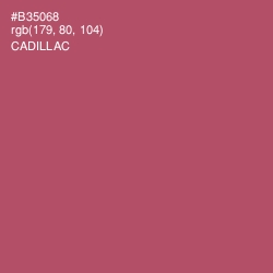 #B35068 - Cadillac Color Image