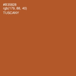 #B35828 - Tuscany Color Image