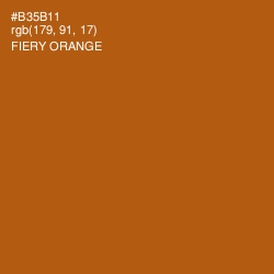 #B35B11 - Fiery Orange Color Image