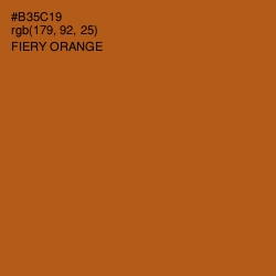 #B35C19 - Fiery Orange Color Image