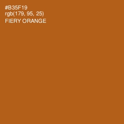 #B35F19 - Fiery Orange Color Image