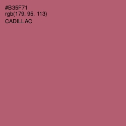 #B35F71 - Cadillac Color Image