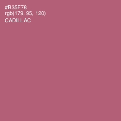 #B35F78 - Cadillac Color Image