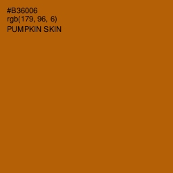 #B36006 - Pumpkin Skin Color Image