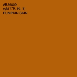 #B36009 - Pumpkin Skin Color Image