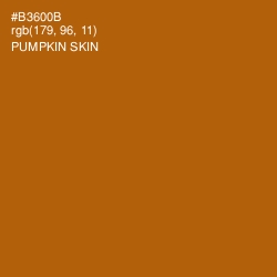 #B3600B - Pumpkin Skin Color Image