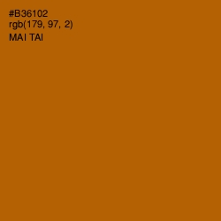 #B36102 - Mai Tai Color Image