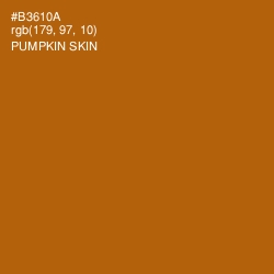 #B3610A - Pumpkin Skin Color Image