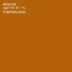 #B3610B - Pumpkin Skin Color Image