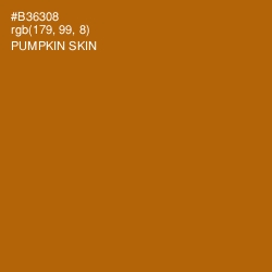 #B36308 - Pumpkin Skin Color Image