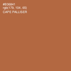 #B36841 - Cape Palliser Color Image