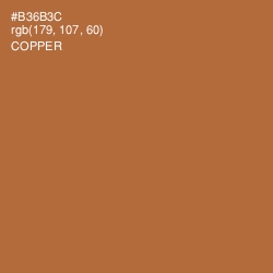 #B36B3C - Copper Color Image