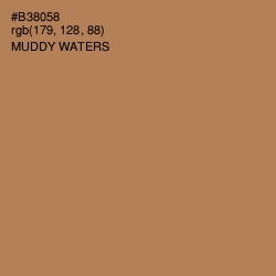 #B38058 - Muddy Waters Color Image