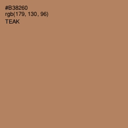 #B38260 - Teak Color Image