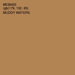 #B38453 - Muddy Waters Color Image
