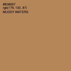 #B38557 - Muddy Waters Color Image