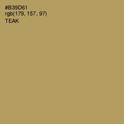 #B39D61 - Teak Color Image