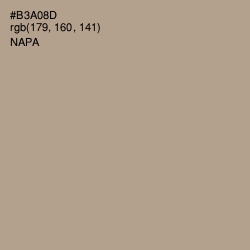 #B3A08D - Napa Color Image