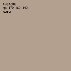 #B3A08E - Napa Color Image