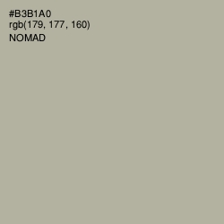 #B3B1A0 - Nomad Color Image