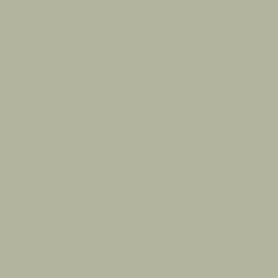 #B3B49D - Heathered Gray Color Image