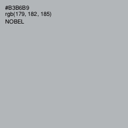 #B3B6B9 - Nobel Color Image