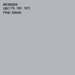 #B3B6BB - Pink Swan Color Image