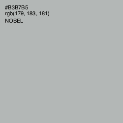 #B3B7B5 - Nobel Color Image