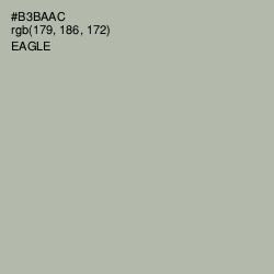 #B3BAAC - Eagle Color Image