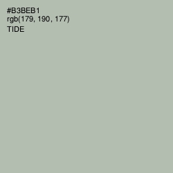 #B3BEB1 - Tide Color Image