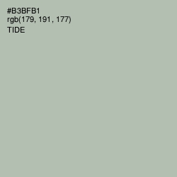 #B3BFB1 - Tide Color Image