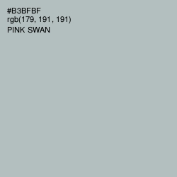 #B3BFBF - Pink Swan Color Image