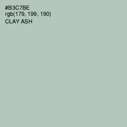 #B3C7BE - Clay Ash Color Image