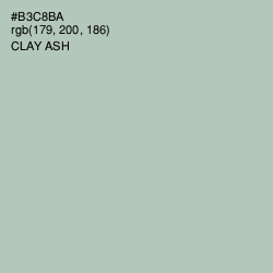 #B3C8BA - Clay Ash Color Image