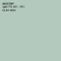 #B3C9BF - Clay Ash Color Image