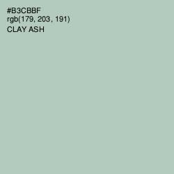 #B3CBBF - Clay Ash Color Image