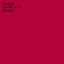 #B4003B - Shiraz Color Image