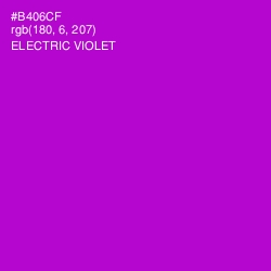 #B406CF - Electric Violet Color Image