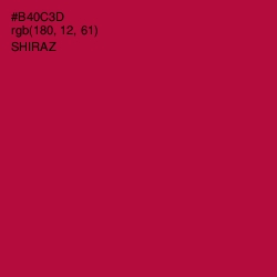 #B40C3D - Shiraz Color Image