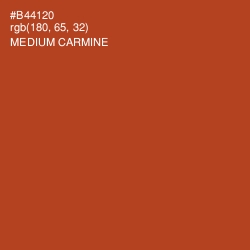 #B44120 - Medium Carmine Color Image