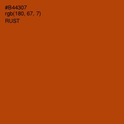 #B44307 - Rust Color Image