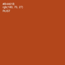 #B4461B - Rust Color Image