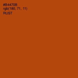 #B4470B - Rust Color Image