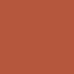 #B4573C - Brown Rust Color Image