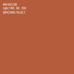 #B45C3B - Brown Rust Color Image