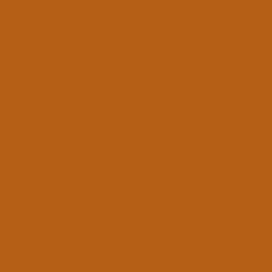 #B45E16 - Fiery Orange Color Image