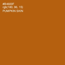 #B4600F - Pumpkin Skin Color Image